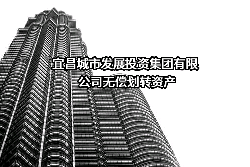 宜昌城市发展投资集团有限公司