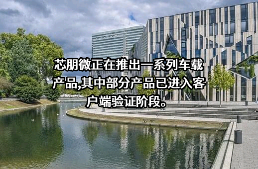 无锡芯朋微电子股份有限公司