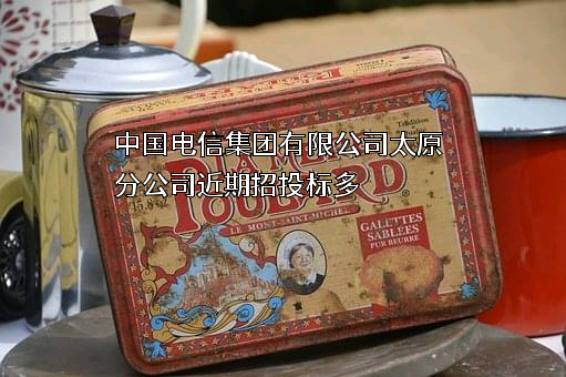 中国电信集团有限公司太原分公司