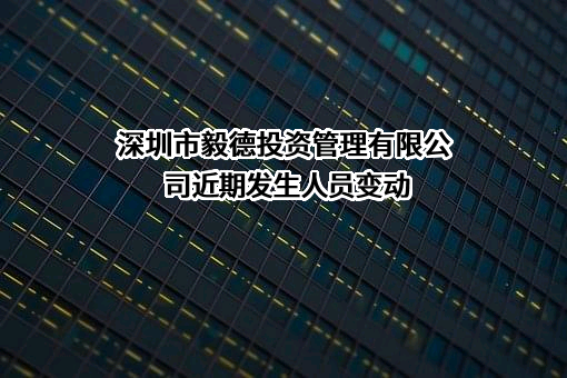 深圳市毅德投资管理有限公司