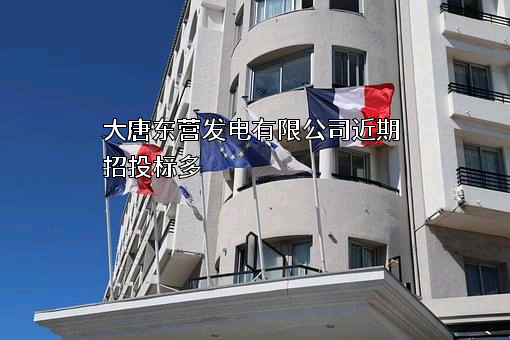 大唐东营发电有限公司