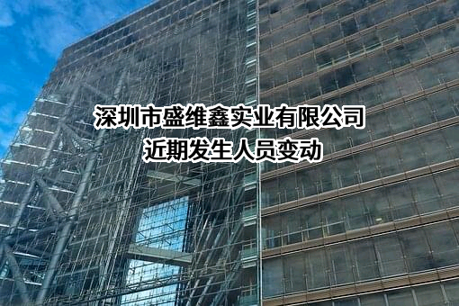 深圳市盛维鑫实业有限公司