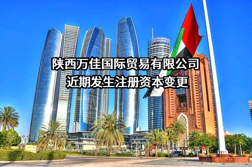 陕西万佳国际贸易有限公司