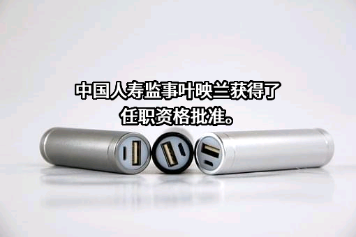 中国人寿保险（集团）公司