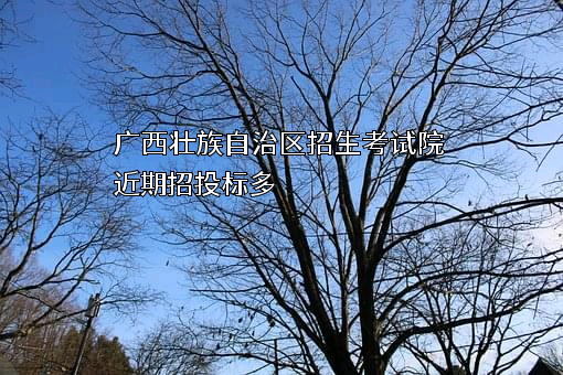 广西壮族自治区招生考试院