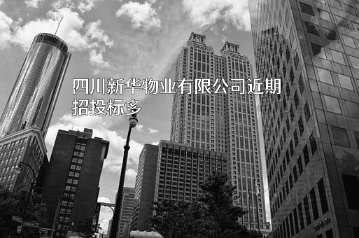 四川新华物业有限公司