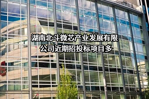 湖南北斗微芯产业发展有限公司