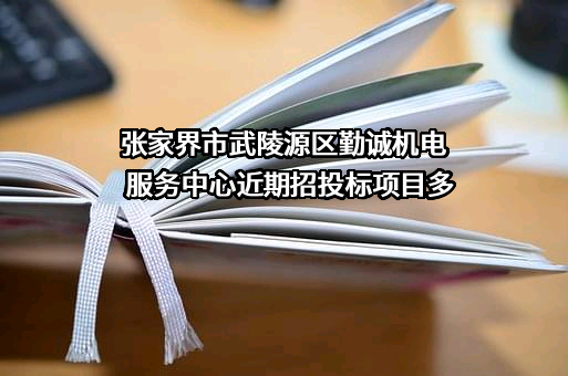 张家界市武陵源区勤诚机电服务中心近期招投标项目多