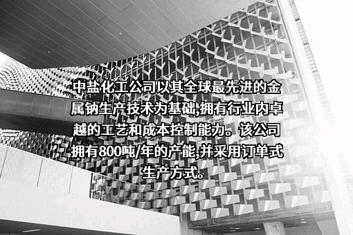 中盐内蒙古化工股份有限公司