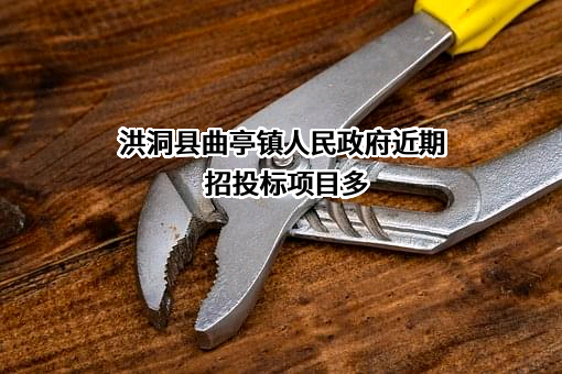 洪洞县曲亭镇人民政府