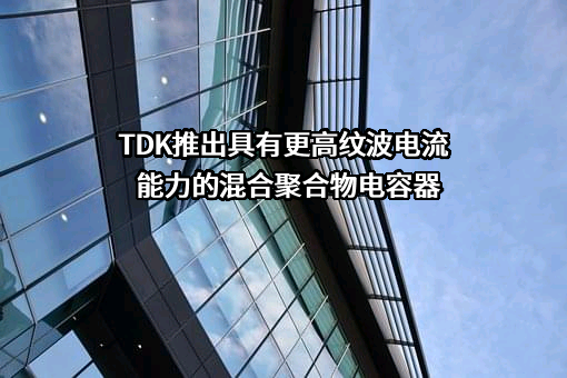 厦门TDK有限公司