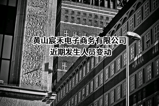 黄山宸禾电子商务有限公司