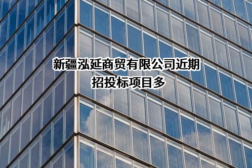 新疆泓延商贸有限公司近期招投标项目多