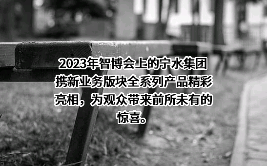 宁波水表（集团）股份有限公司