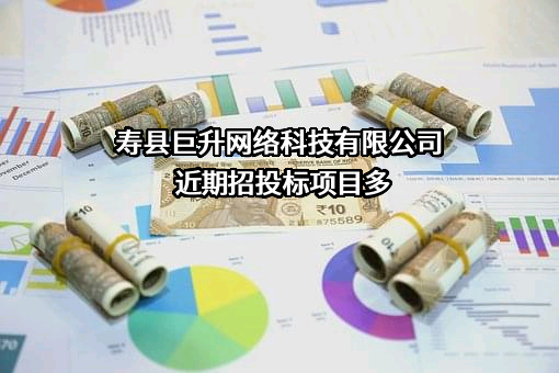 寿县巨升网络科技有限公司近期招投标项目多