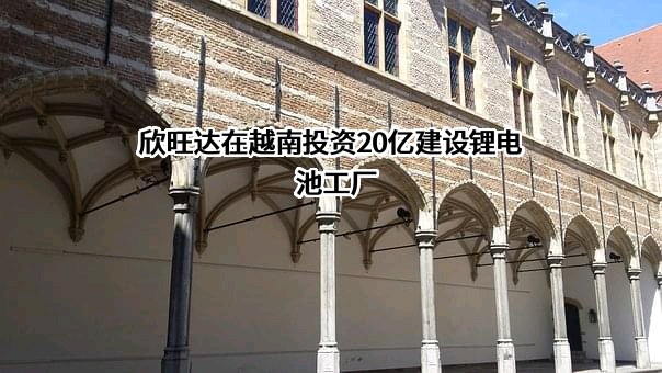 欣旺达电子股份有限公司