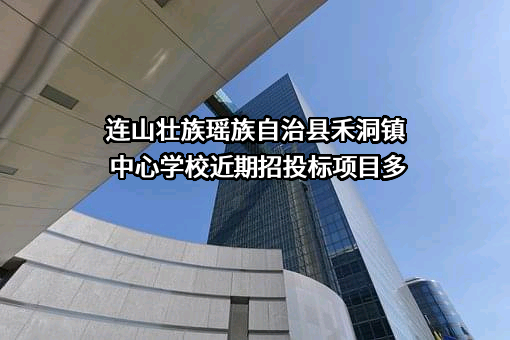 连山壮族瑶族自治县禾洞镇中心学校