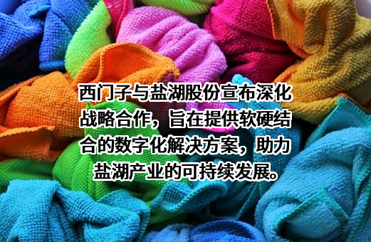 西门子（中国）有限公司