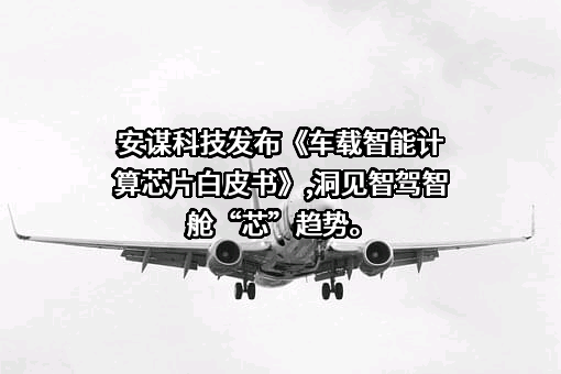 安谋科技（中国）有限公司