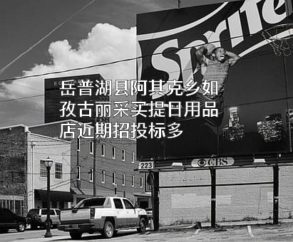 岳普湖县阿其克乡如孜古丽采买提日用品店