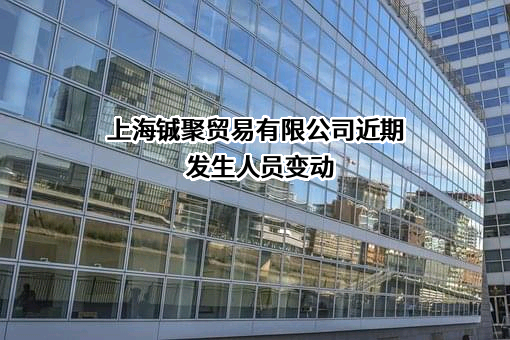 上海铖聚贸易有限公司