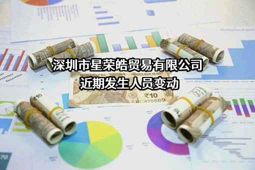 深圳市星荣皓贸易有限公司