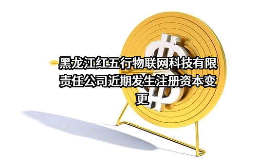 黑龙江红五行物联网科技有限责任公司