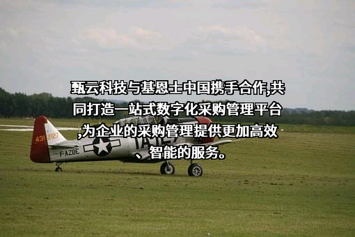 上海甄云信息科技有限公司