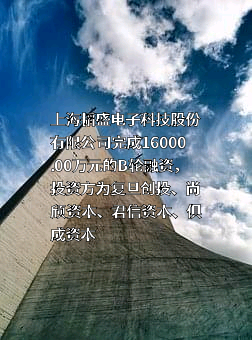 上海韬盛电子科技股份有限公司