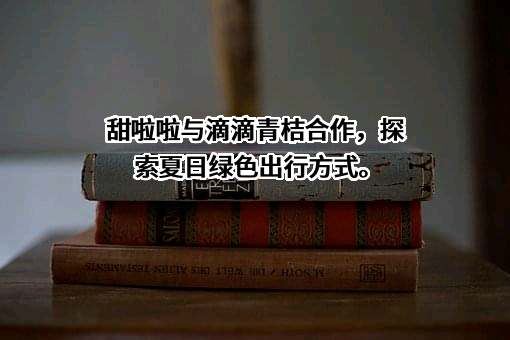上海甜啦啦新型包装材料有限公司