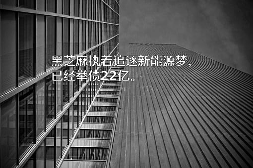 南方黑芝麻集团股份有限公司