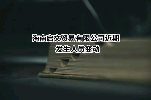 海南启文贸易有限公司