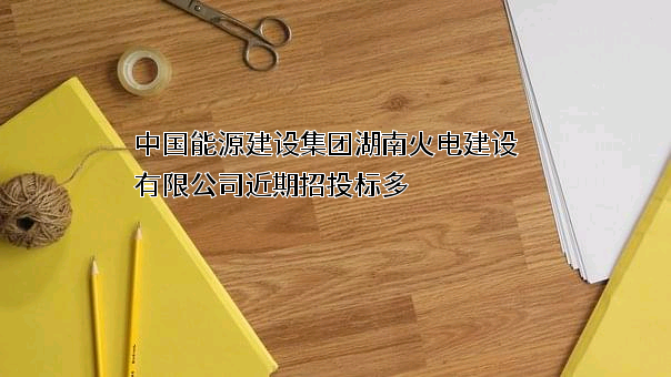 中国能源建设集团湖南火电建设有限公司