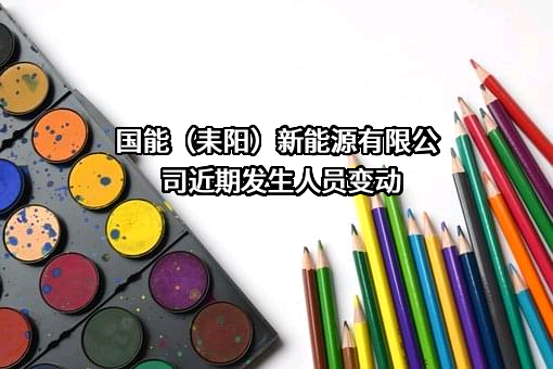 国能（耒阳）新能源有限公司
