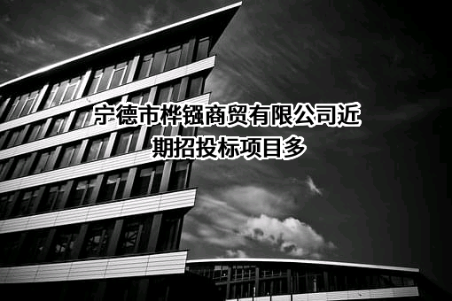 宁德市桦镪商贸有限公司近期招投标项目多
