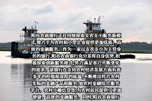 山东阳谷农村商业银行股份有限公司