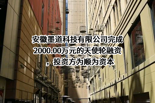 安徽墨道科技有限公司