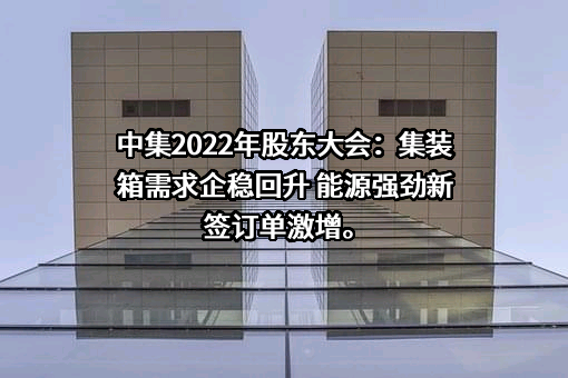 中集安瑞科控股有限公司