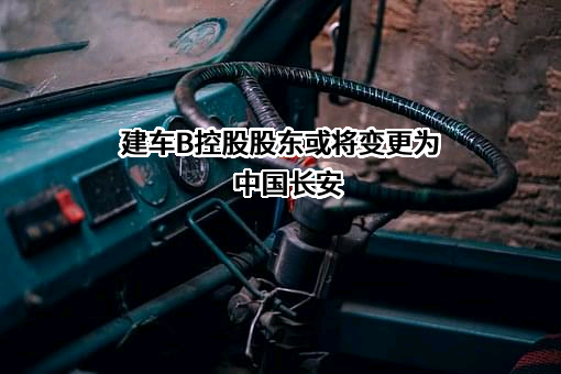 重庆建设汽车系统股份有限公司