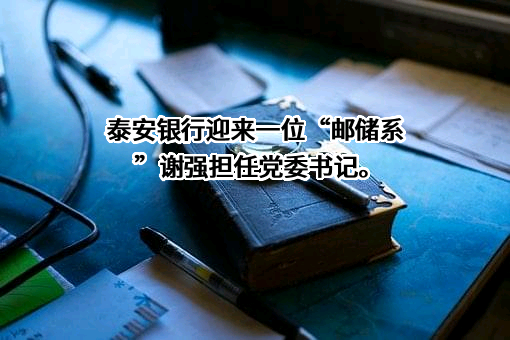 泰安银行股份有限公司