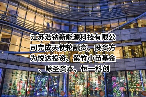 江苏浩钠新能源科技有限公司
