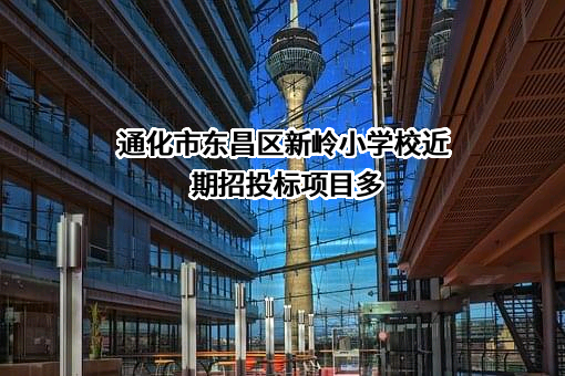 通化市东昌区新岭小学校近期招投标项目多