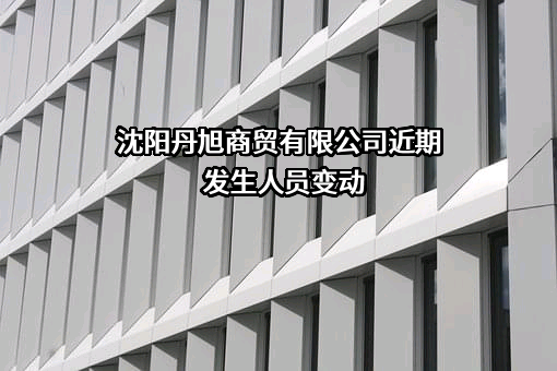 沈阳丹旭商贸有限公司