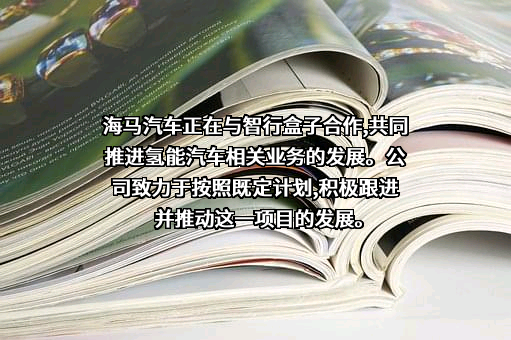 北京智行盒子汽车有限公司