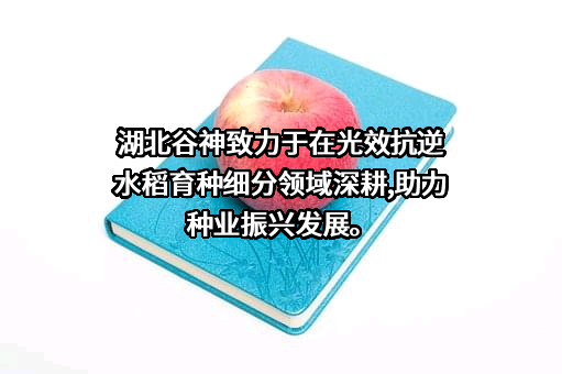 湖北谷神科技有限责任公司