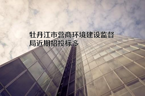 牡丹江市营商环境建设监督局近期招投标项目多