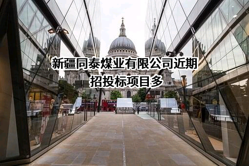新疆同泰煤业有限公司