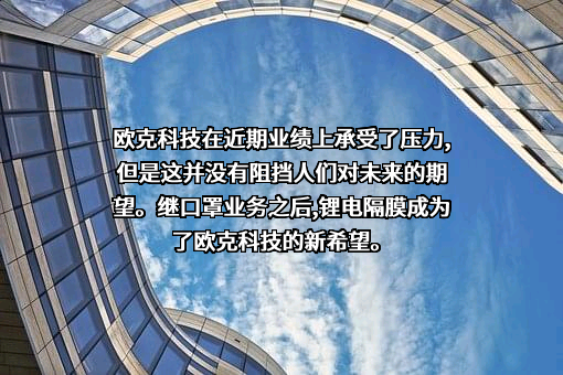 九江冠力新材料有限公司