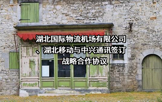 湖北国际物流机场有限公司