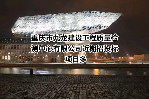 重庆市九龙建设工程质量检测中心有限公司